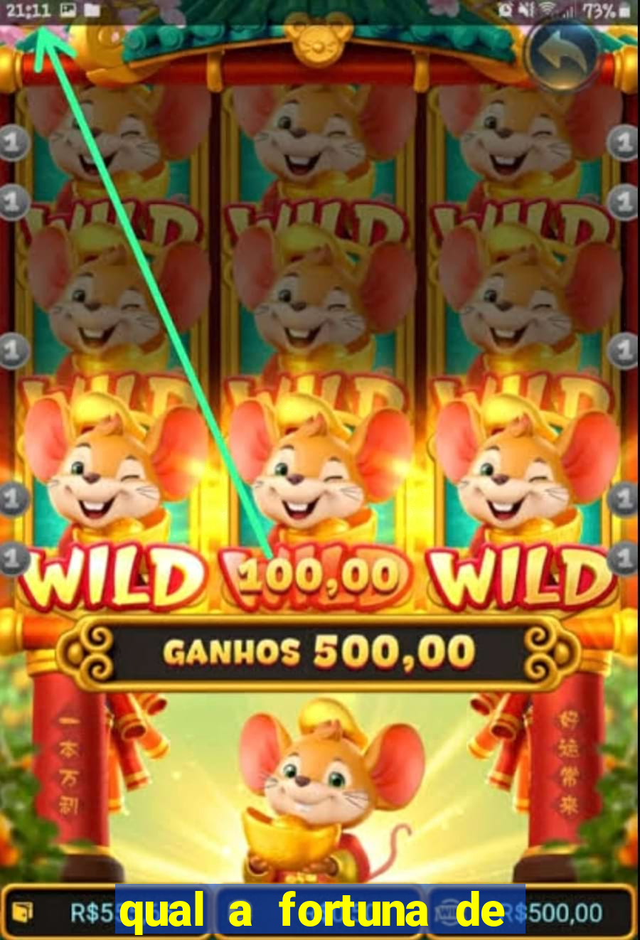 qual a fortuna de mara maravilha